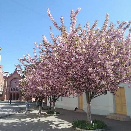 Затишна Двокімнатна Квартира В Самому Серці Ужгорода 乌日霍罗德 外观 照片