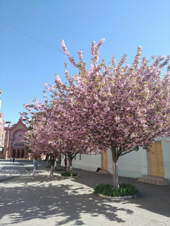 Затишна Двокімнатна Квартира В Самому Серці Ужгорода 乌日霍罗德 外观 照片